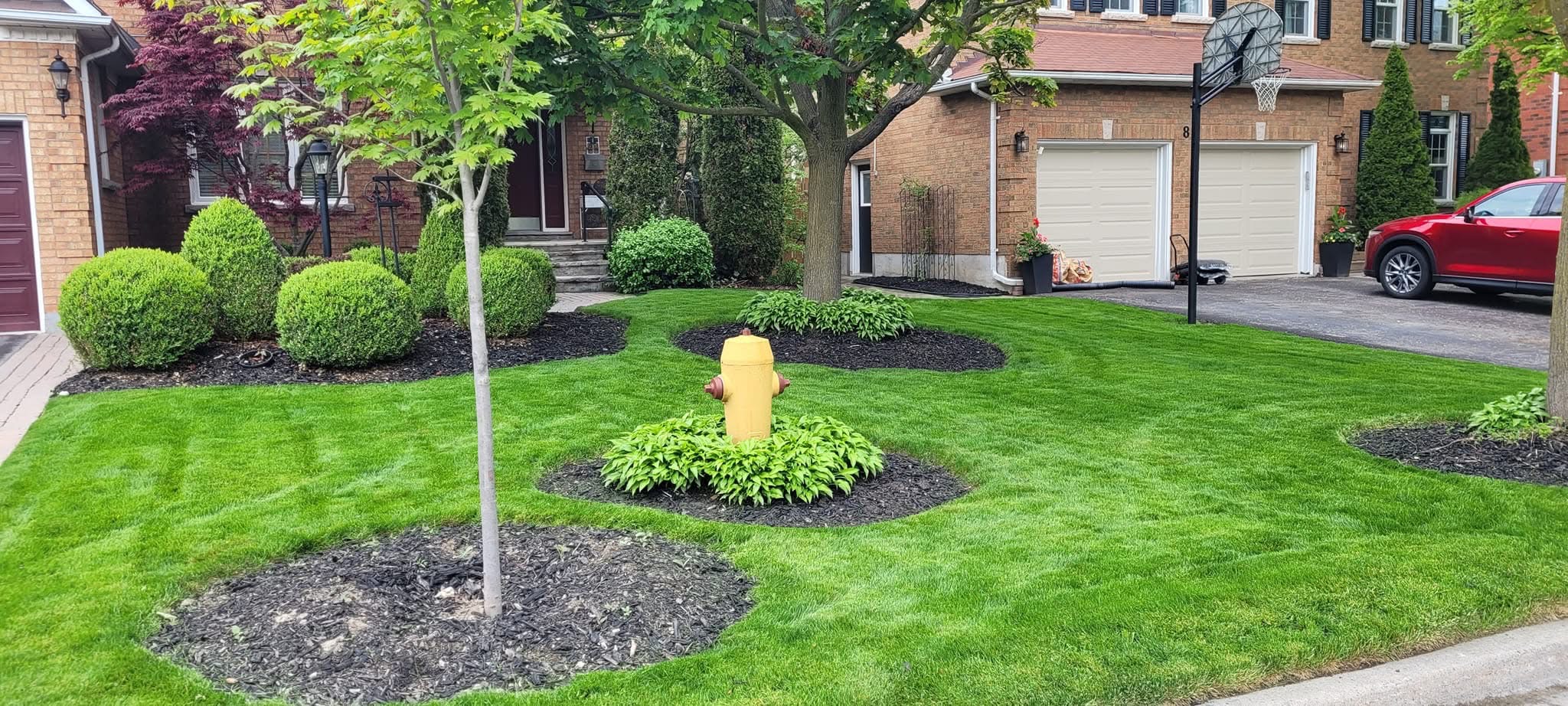 Landscaping before