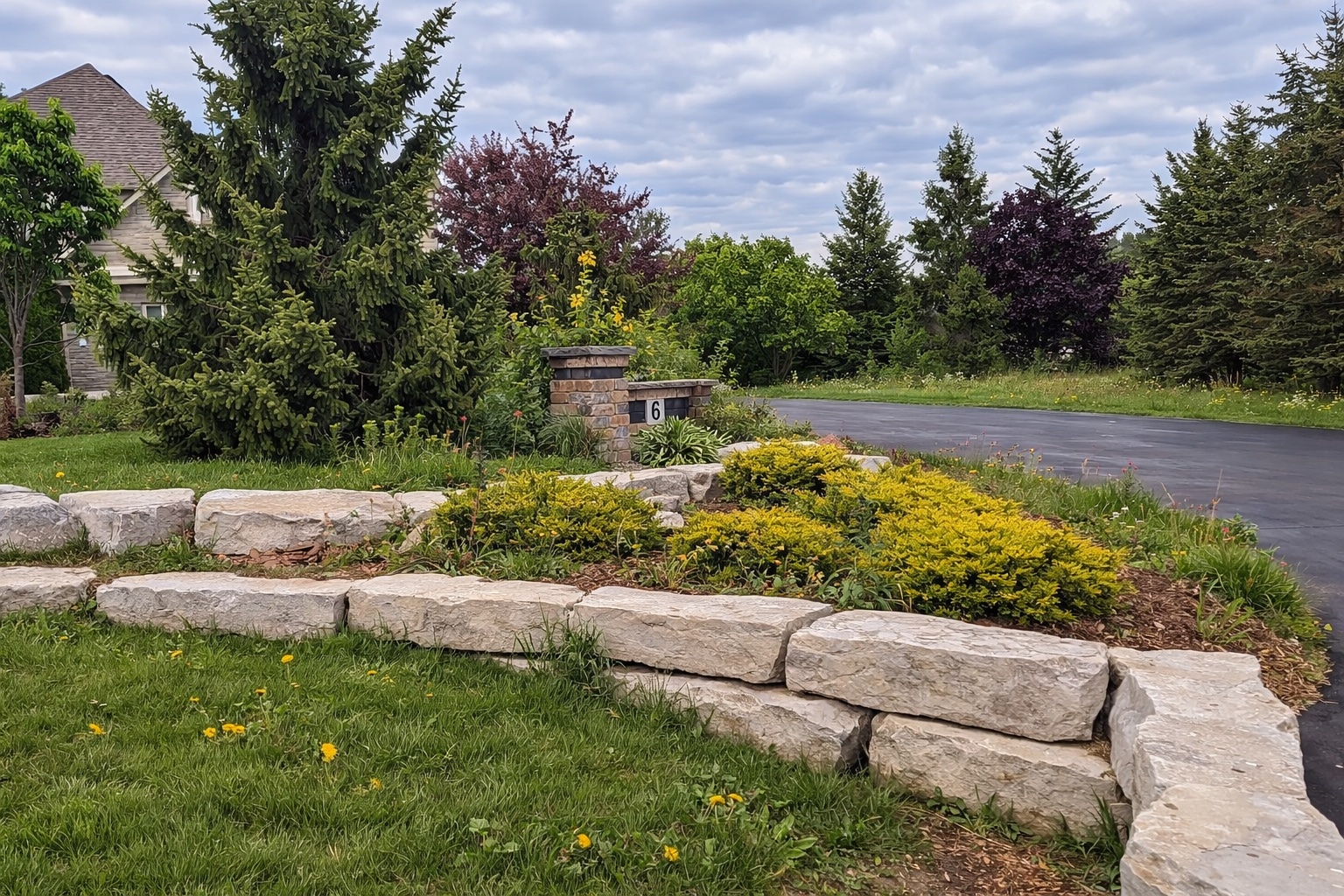 Before — DD Lawn & Garden
