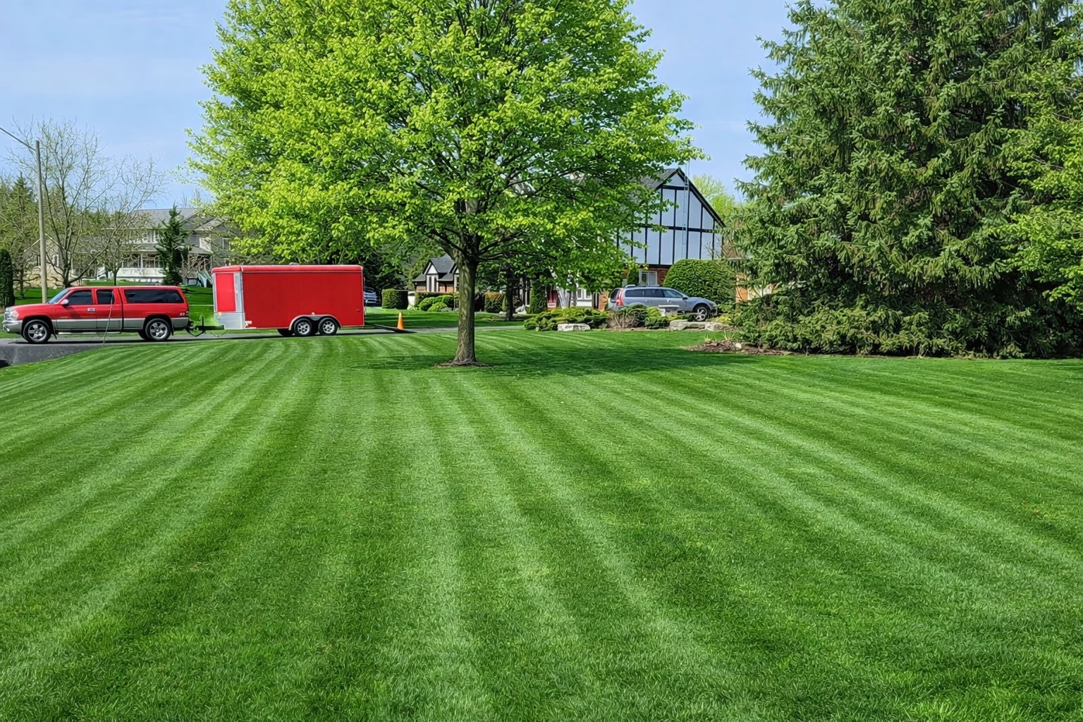 Striped lawn
